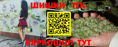 индика Обнинск